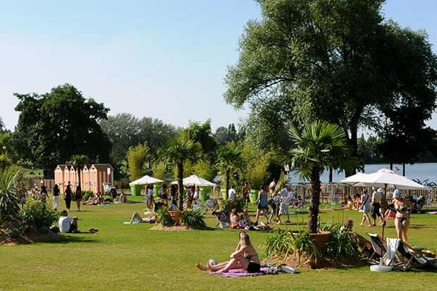 13669656 1215346065165089 2472554186772927980 n