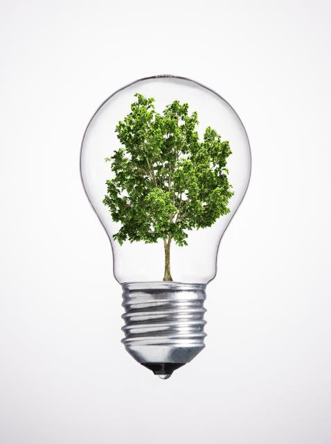 P027643000102 332491