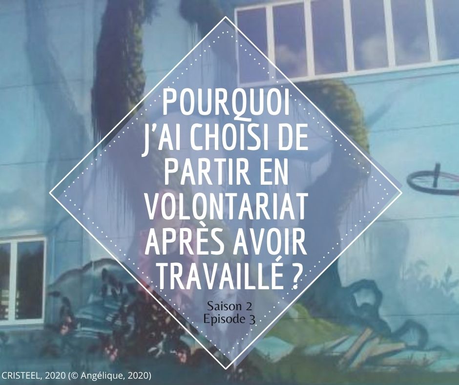 Pourquoi 0203 JAI CHOISI DE Partir en volontariat après avoir Travaillé S02E03