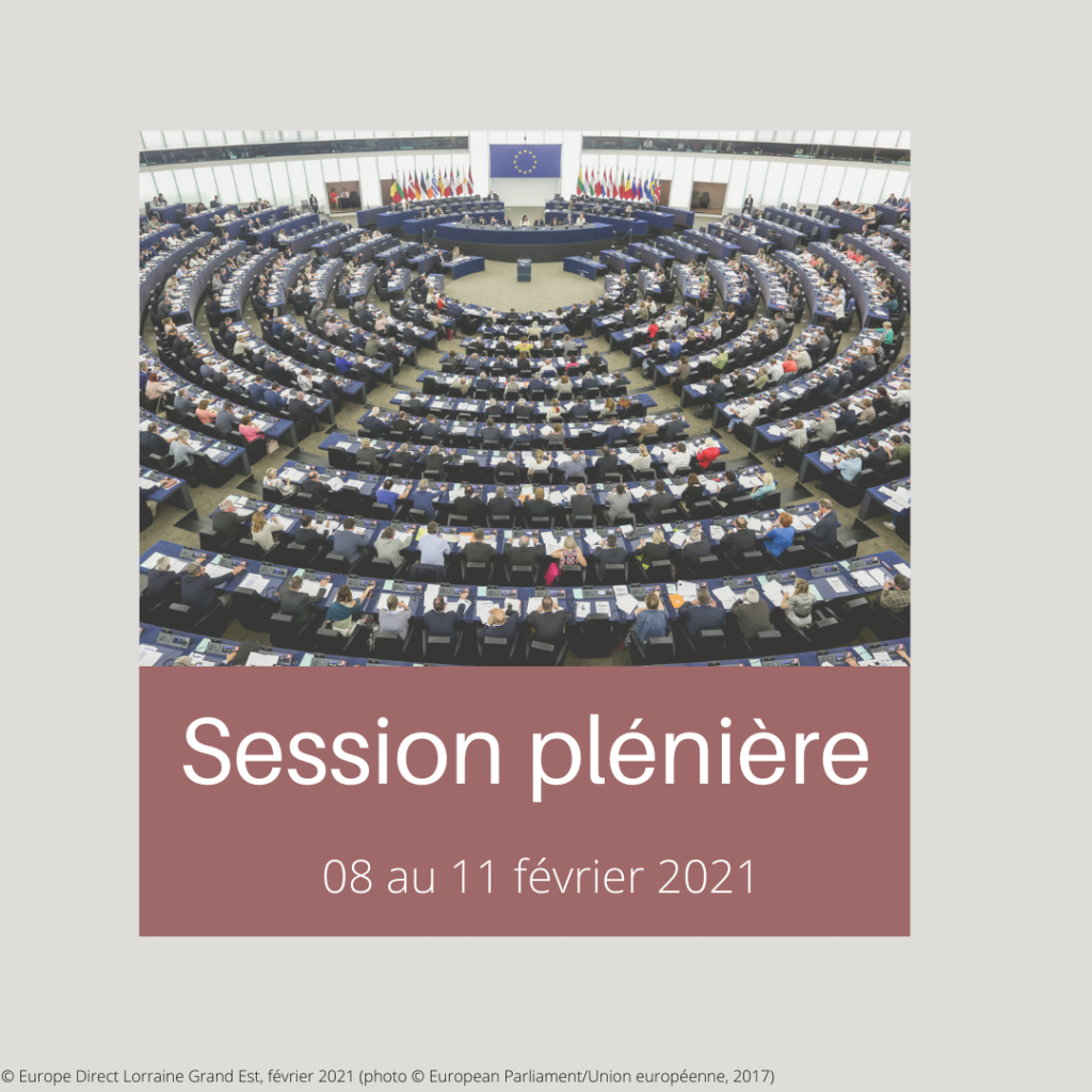 SESSION PLENIERE 2021 02