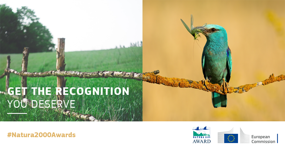 Natura 2000 web banner bird 1000px