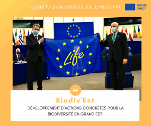 CT CRISTEEL Infographies Visuel FB 2